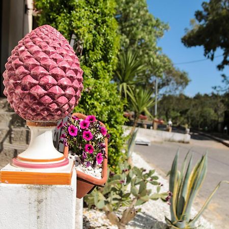 Agriturist SoleLuna Caltagirone Exterior foto